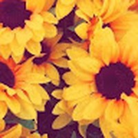 Profile Picture of Mayte Ramirez (@mayte-ramirez-33) on Quora