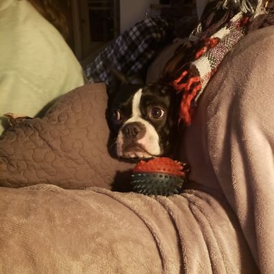 Profile Picture of Randy Felty (@RandyFelty4) on Twitter