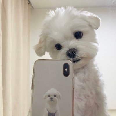 Profile Picture of Mota (@jmota42) on Twitter