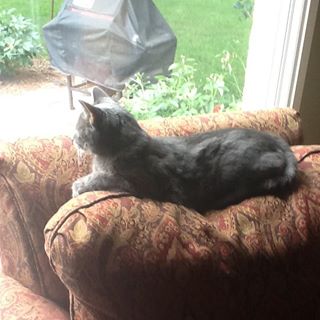 Profile Picture of Harry Gresser (@harry.gresser.9) on Facebook