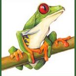 Profile Picture of Mindy Lighthipe- Artist (@mlighthipe) on Pinterest