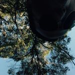 Profile Picture of Brad.To.Chun (@bradtochunb) on Instagram