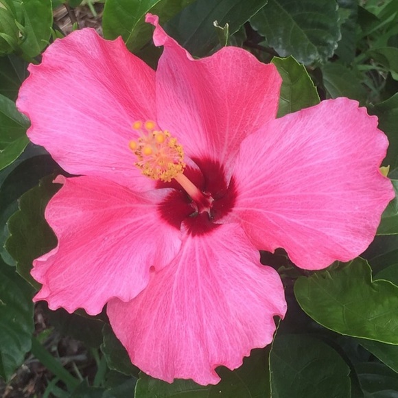 Gemma Alunni - Poshmark Profile Picture of Gemma Alunni (@gea125) on Poshmark