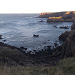 Profile Picture of Connor Reynolds (@connor_reynolds7) on Instagram