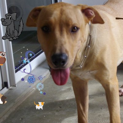 Profile Picture of Logan MAURO (@LoganMAURO1128) on Twitter
