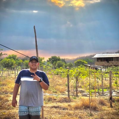Profile Picture of Jean Poll (@jeanpol65146709) on Twitter