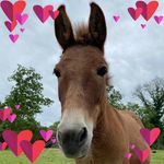 Profile Picture of Roberta Hackler (@roberta1123) on Instagram
