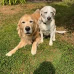 David Hawk - Facebook Profile Picture of David Hawk (@david.hawk.229045) on Facebook