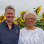 Profile Picture of Joyce Boblett Newcomb (@joybug70) on Instagram