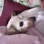 Profile Picture of Melissa Causey (@melissa.causey.2025) on Facebook