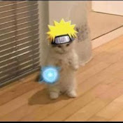 Profile Picture of Nathan Leonard (@nathanleonard3460) on Youtube