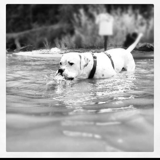 Profile Picture of George Hall (@dickhall67) on Tiktok