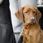 Profile Picture of John Harrold (@johnharrold1) on Flickr