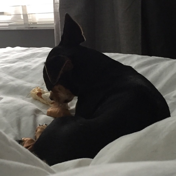 Profile Picture of Jamie Fabryk (@jamiefabryk) on Poshmark