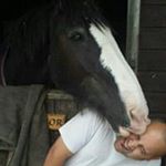 Profile Picture of Chris Leahy (@chris_leahy1980) on Instagram