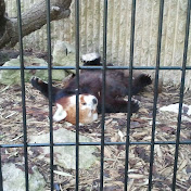 Profile Picture of David Billard (@davidbillard965) on Youtube