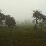 Profile Picture of Jason Burgess (@kaashmir_47) on Instagram