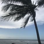 Profile Picture of Emily Yehezkel (@ebythetravelingbrat) on Instagram