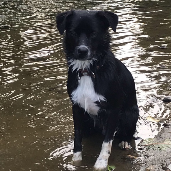 Profile Picture of April Vanassche (@apevan) on Poshmark