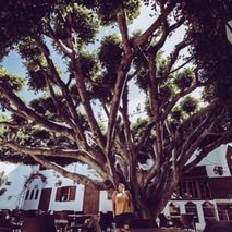 Profile Picture of Amy Lucas (@@PucasLucas) on Twitter