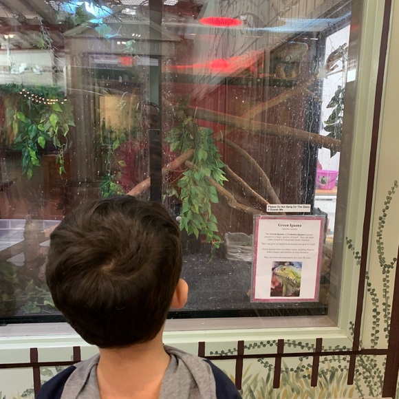 Profile Picture of Eileen Alicea (@ealicea) on Poshmark