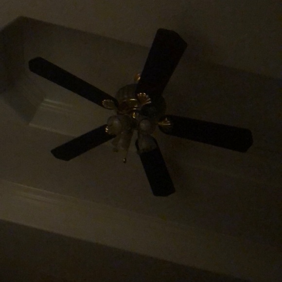 Profile Picture of Rosa Cassio (@rcassio) on Poshmark