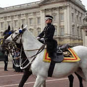 Profile Picture of Lisa Boyer (@lisaboyer8895) on Youtube