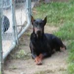 Profile Picture of Doug Compton (@doug.newton.71) on Instagram