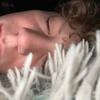 Profile Picture of Jeffrey coan (@we1ovejeffrey) on Tiktok