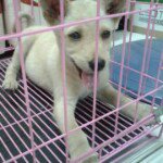 Profile Picture of Howard Loo (@howard_samsung) on Instagram