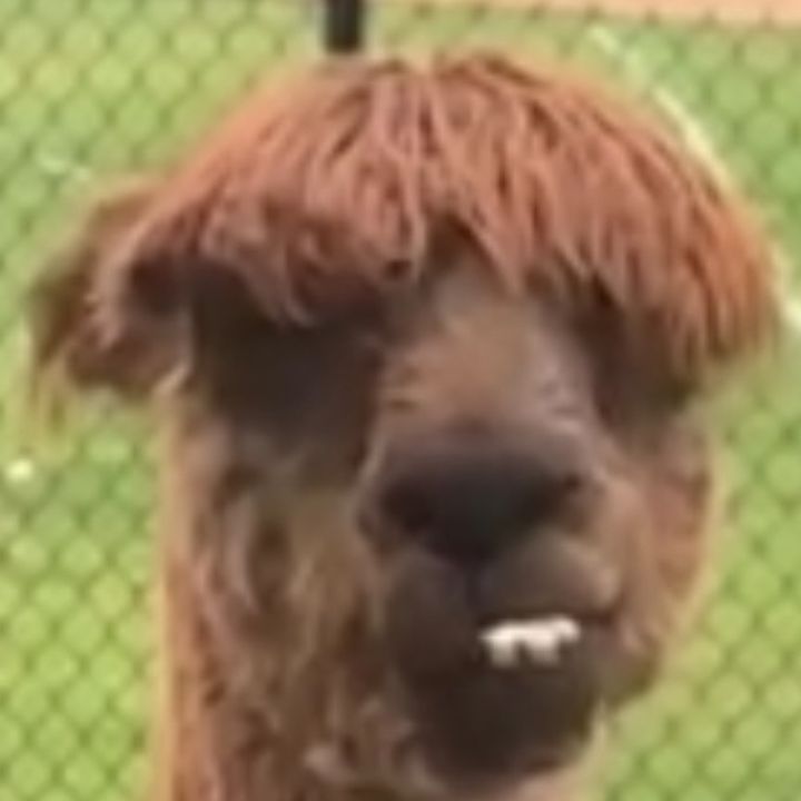 Profile Picture of Evan Royer (@evanroyer17) on Tiktok