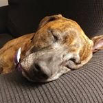 Profile Picture of Mike Quinlan (@mikequinlan79) on Instagram