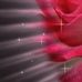 Profile Picture of Lorena Saenz (@lorena.saenz.9803150) on Facebook