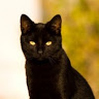 Profile Picture of Brad Blankenship (@brad-blankenship-21) on Quora