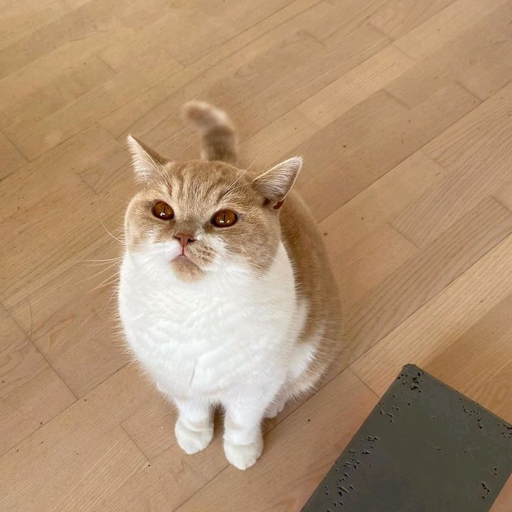 Profile Picture of lisagarden.1 (@lisagarden.1) on Tiktok