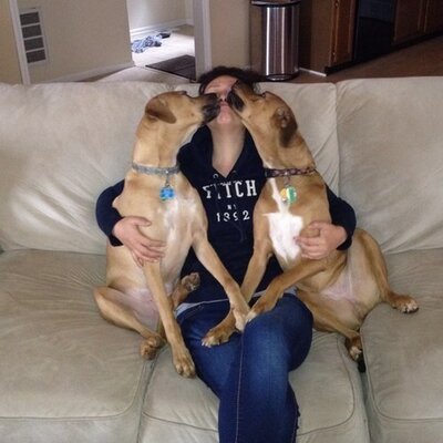 Profile Picture of Hong Zhao (@hongzhao630) on Twitter