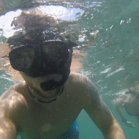 Profile Picture of Scott Russo (@scottrusso174) on Poshmark