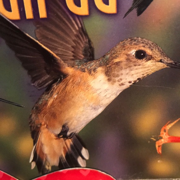 Casey Kenyon - Poshmark Profile Picture of Casey Kenyon (@caseyk435) on Poshmark