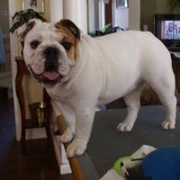 Profile Picture of David Morrison (@david-morrison-117) on Quora