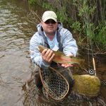 Profile Picture of Shawn Garrison (@shawngarrisonky) on Instagram