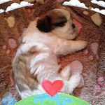 Elizabeth Mohammed - Instagram Profile Picture of Elizabeth Mohammed (@elizabeth.mohammed.330) on Instagram