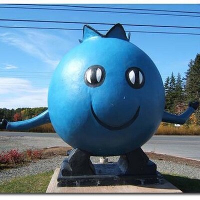 Profile Picture of Dale Chisholm (@bigtr0ut) on Twitter