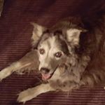 Profile Picture of Jim Ehrhardt (@jim.ehrhardt) on Instagram