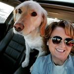 Profile Picture of Kimberlee Jones Knowles (@all4utvols) on Instagram