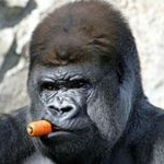 Profile Picture of Michael Allishaw (@mikeymumu) on Instagram