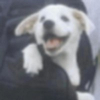 Profile Picture of Nolan Manning (@nolan-manning-3) on Quora