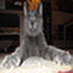 Roman Duschek - Flickr Profile Picture of Roman Duschek (@R. Duschek) on Flickr