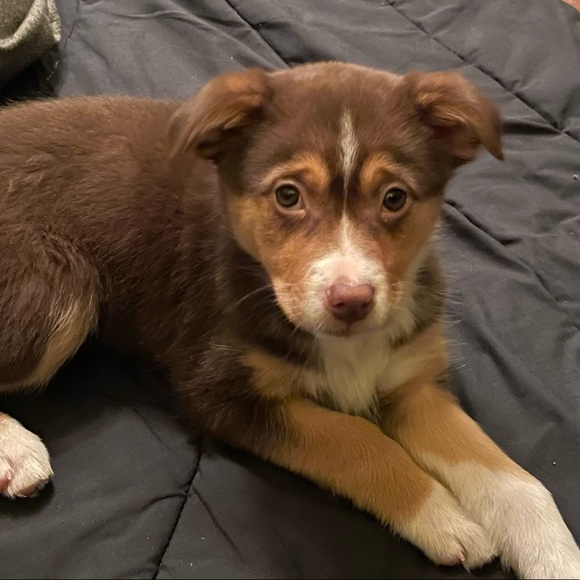 Profile Picture of Rowan Grant (@ivy_love590) on Poshmark