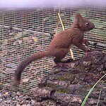 Profile Picture of Michael (@michaelleber.ml) on Instagram