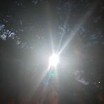 Profile Picture of ňäțhåñ 🌋💯 (@alyna_nathan) on Instagram